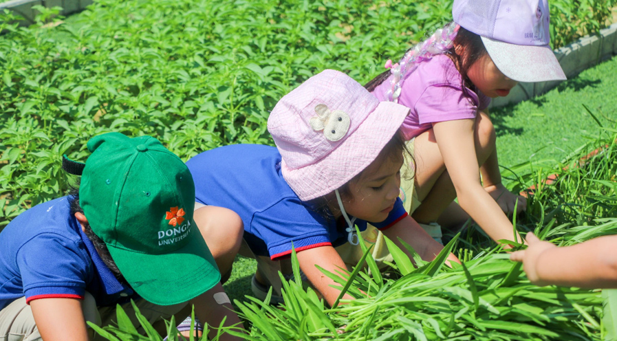 오디세이 베트남캠프 사진